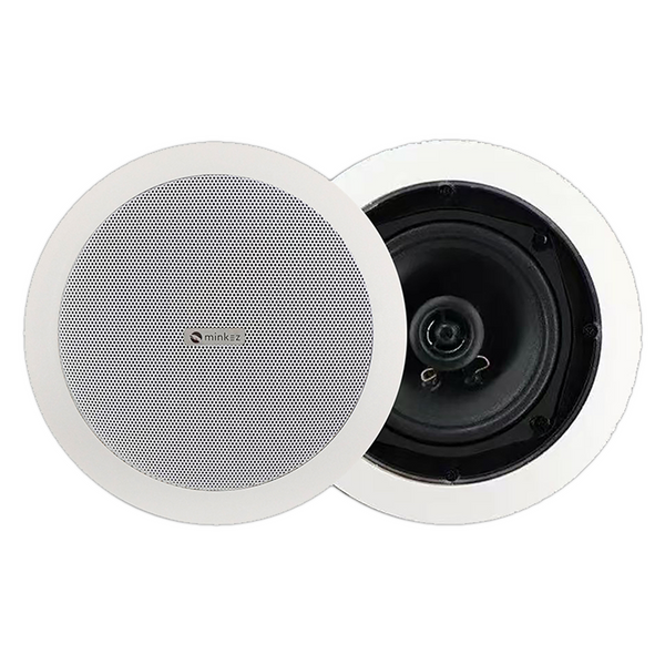 ceiling-speaker-audio-systems-minkez