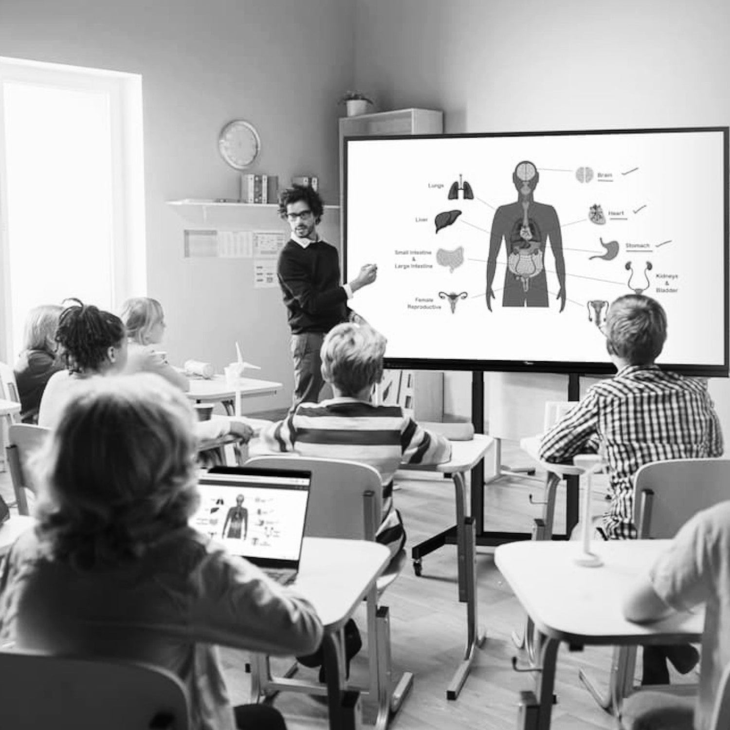 Interactive Flat Panel Display (IFPD)